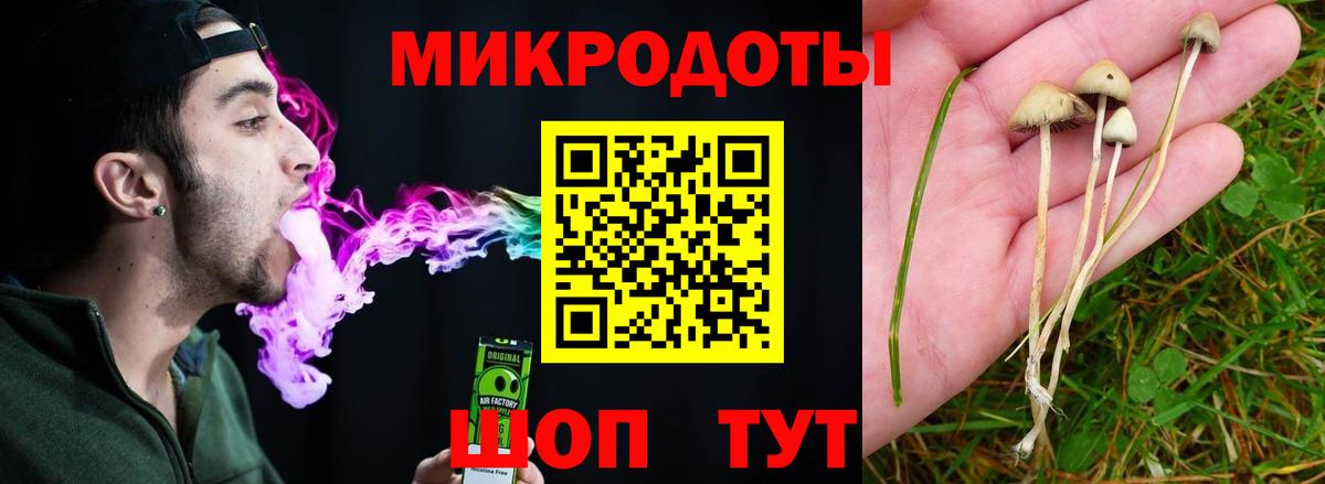 Кизляр  Галлюциногенные грибы мицелий  Вход с VPN  Псилоцибиновые грибы Psilocybe 