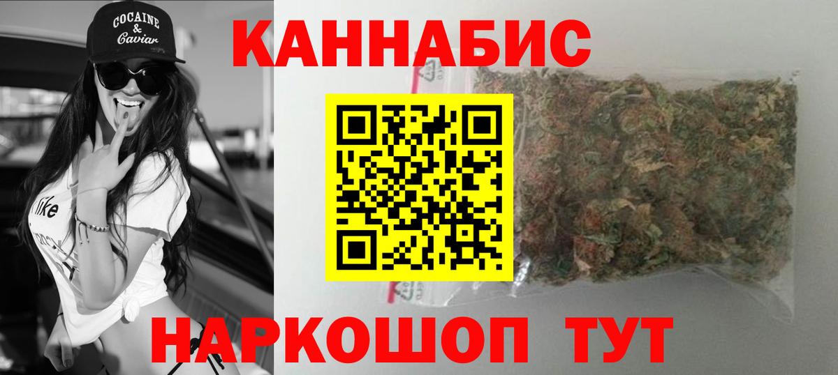 Канабис сатива Кизляр